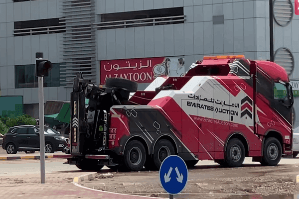 Social responsibility 24